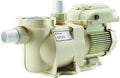 Pentair EC-342001 SuperFlo VS Variable Speed Pool Pump, 1 1/2 Horsepower, 115/208-230 Volt, 1 Phase