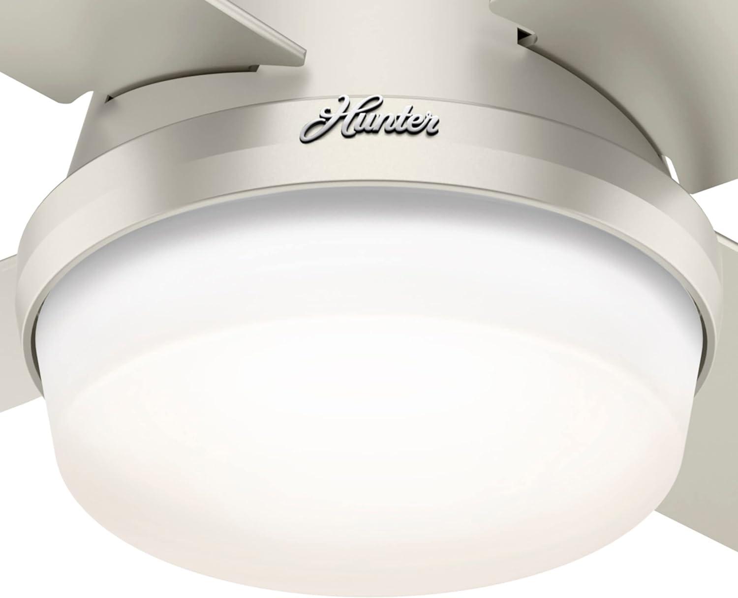 Hunter Fan Company Dempsey Low Profile Indoor / Outdoor Ceiling Fan with LED Light and Remote Control, 44